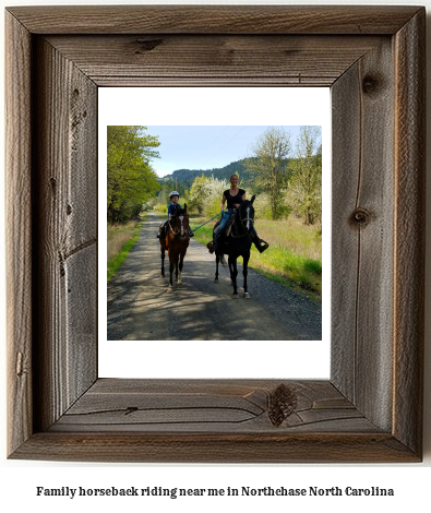 family horseback riding near me in Northchase, North Carolina